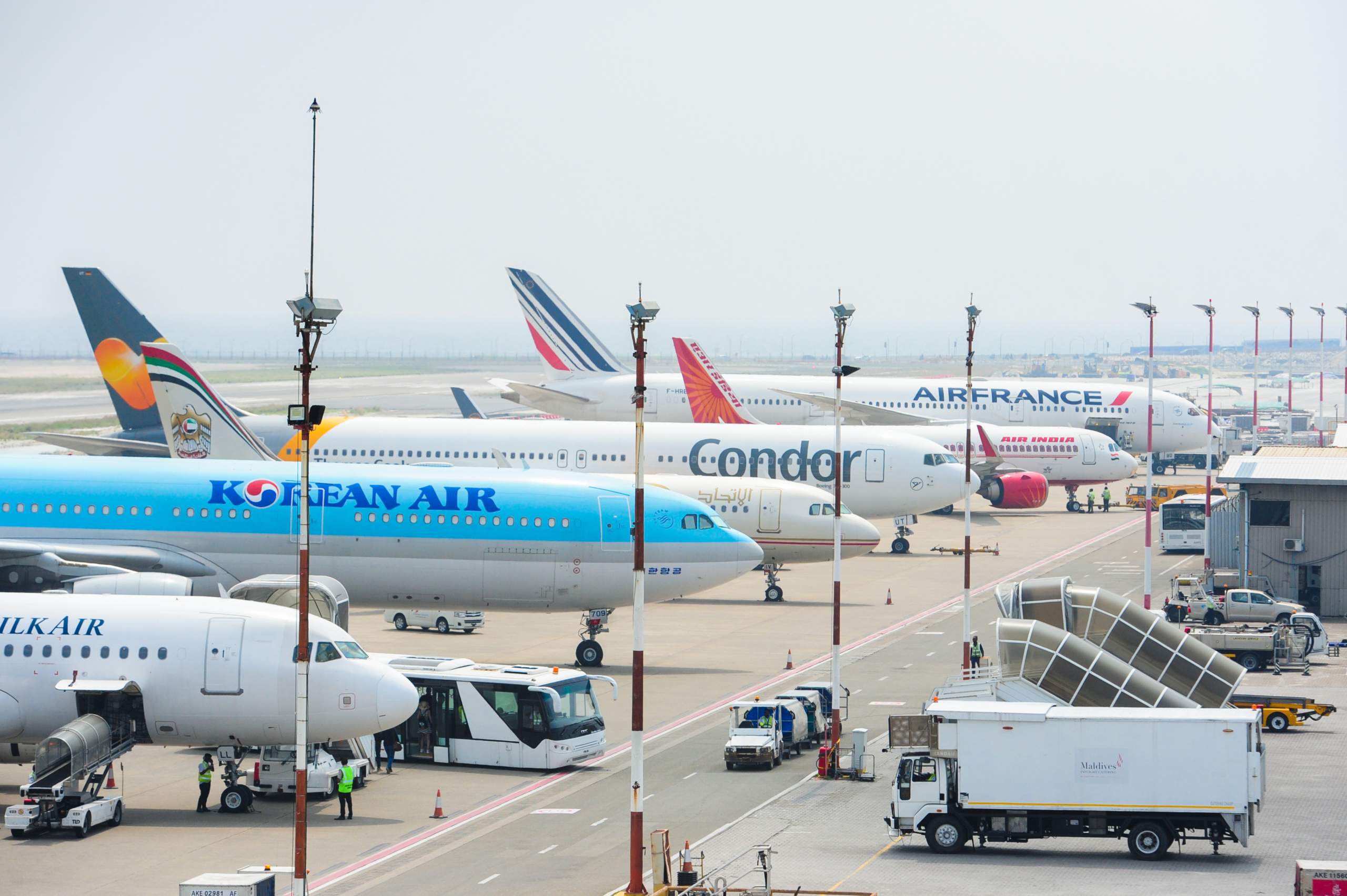 Image for Our Airlines and partnerships service